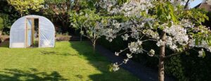 Growing My Own - Sow Delightful!